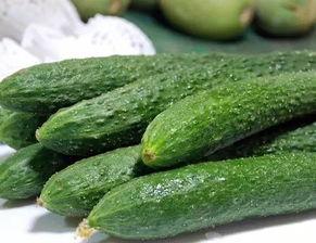 专门吃网红的瓜的网站地址,揭秘“吃瓜”网站背后的秘密与真相