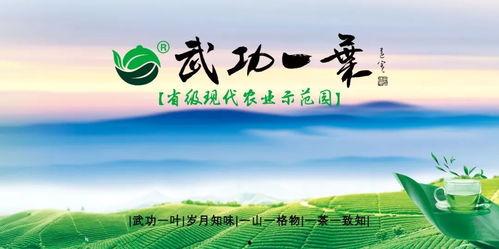 江西凤凰热点爆料新闻最新,最新爆料揭示惊人真相! 第2张 江西凤凰热点爆料新闻最新,最新爆料揭示惊人真相! 第2张