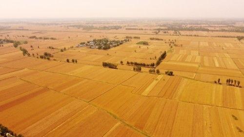 茶扎乡小学爆料事件视频,揭开校园安全与教育的隐忧 第3张 茶扎乡小学爆料事件视频,揭开校园安全与教育的隐忧 第3张