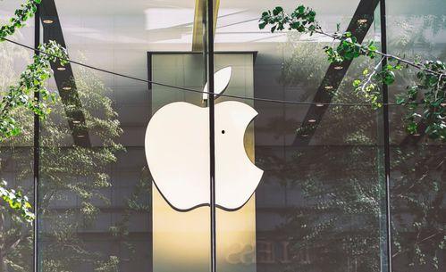 苹果11新机爆料视频,揭秘外观设计及全新功能亮点 第2张 苹果11新机爆料视频,揭秘外观设计及全新功能亮点 第2张