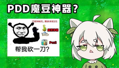 魔豆神器爆料视频,视频爆料带你领略神奇魔力